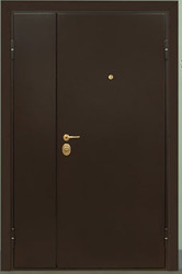 Дверь металлическая двустворчатая,  утепленная,  с полимерным покрытием